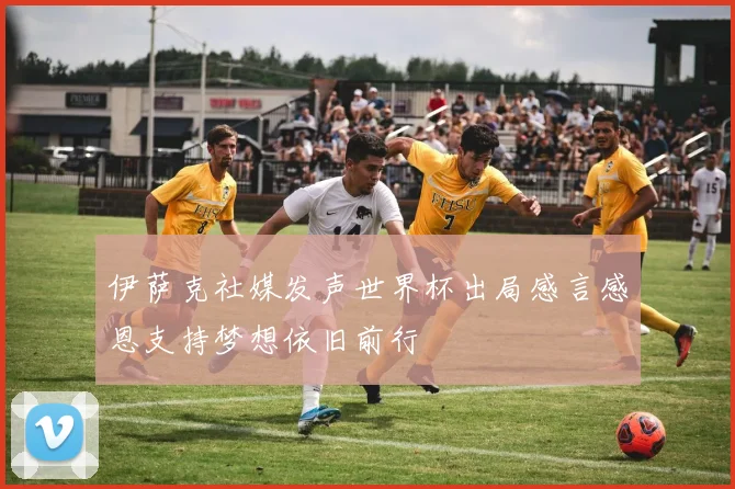 伊萨克社媒发声世界杯出局感言感恩支持梦想依旧前行